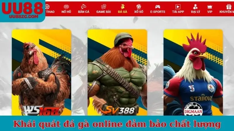 Khái quát đá gà online đảm bảo chất lượng